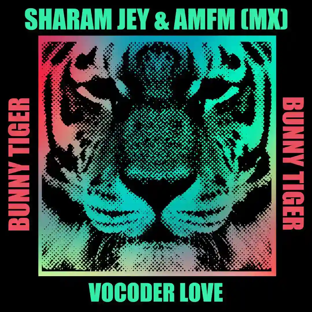 Vocoder Love (Original Mix) cover