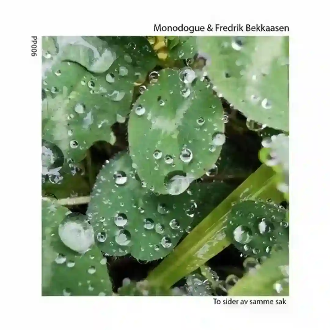 To sider av samme sak cover