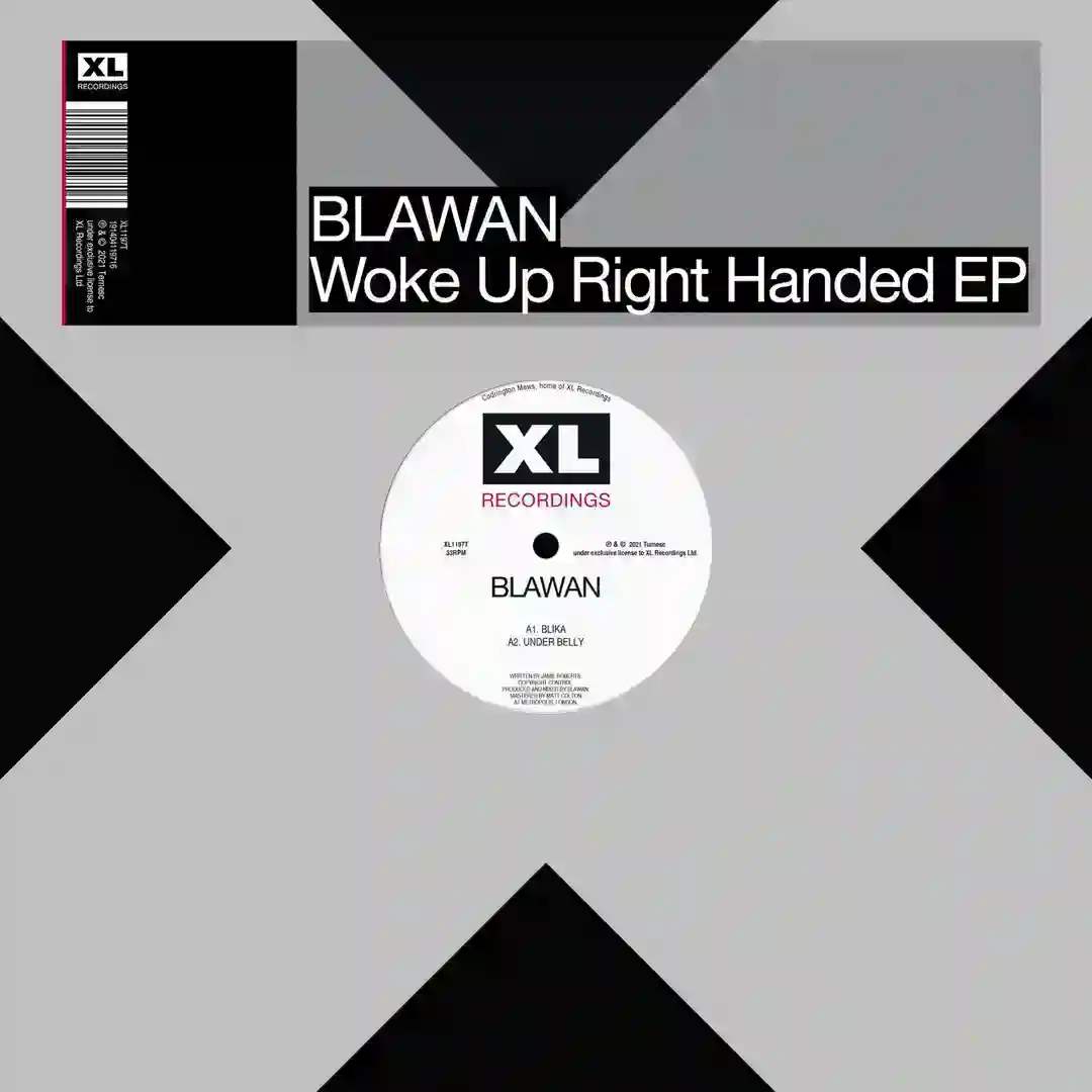 Woke Up Right Handed cover