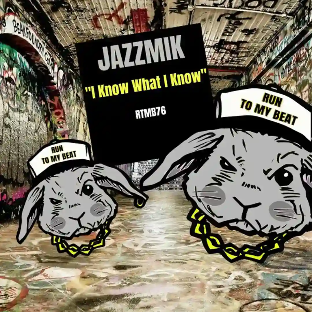 I Know What I Know (Original Mix) cover