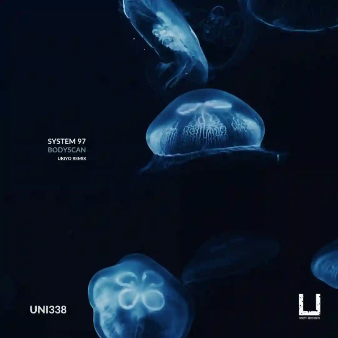 BodyScan (Ukiyo Remix) cover