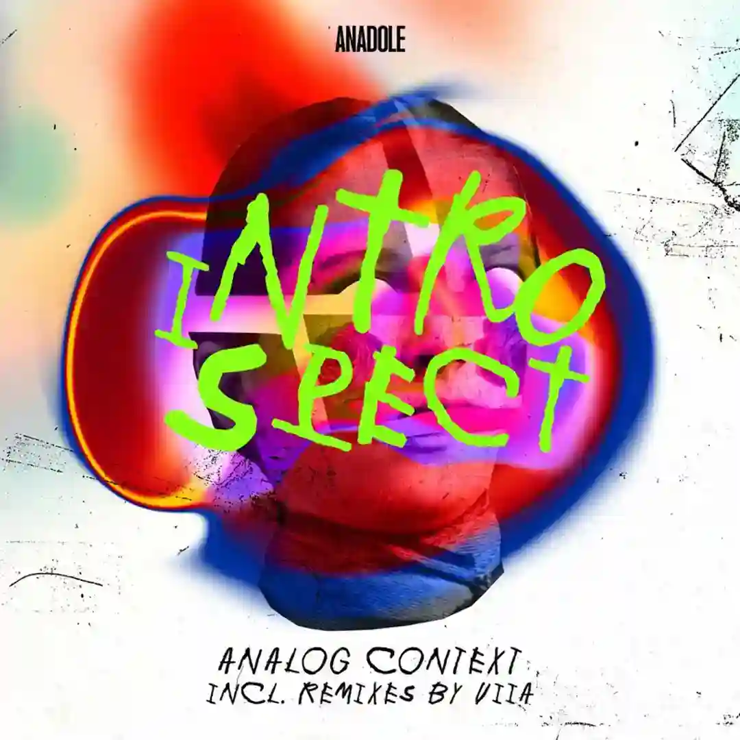 Introspect cover