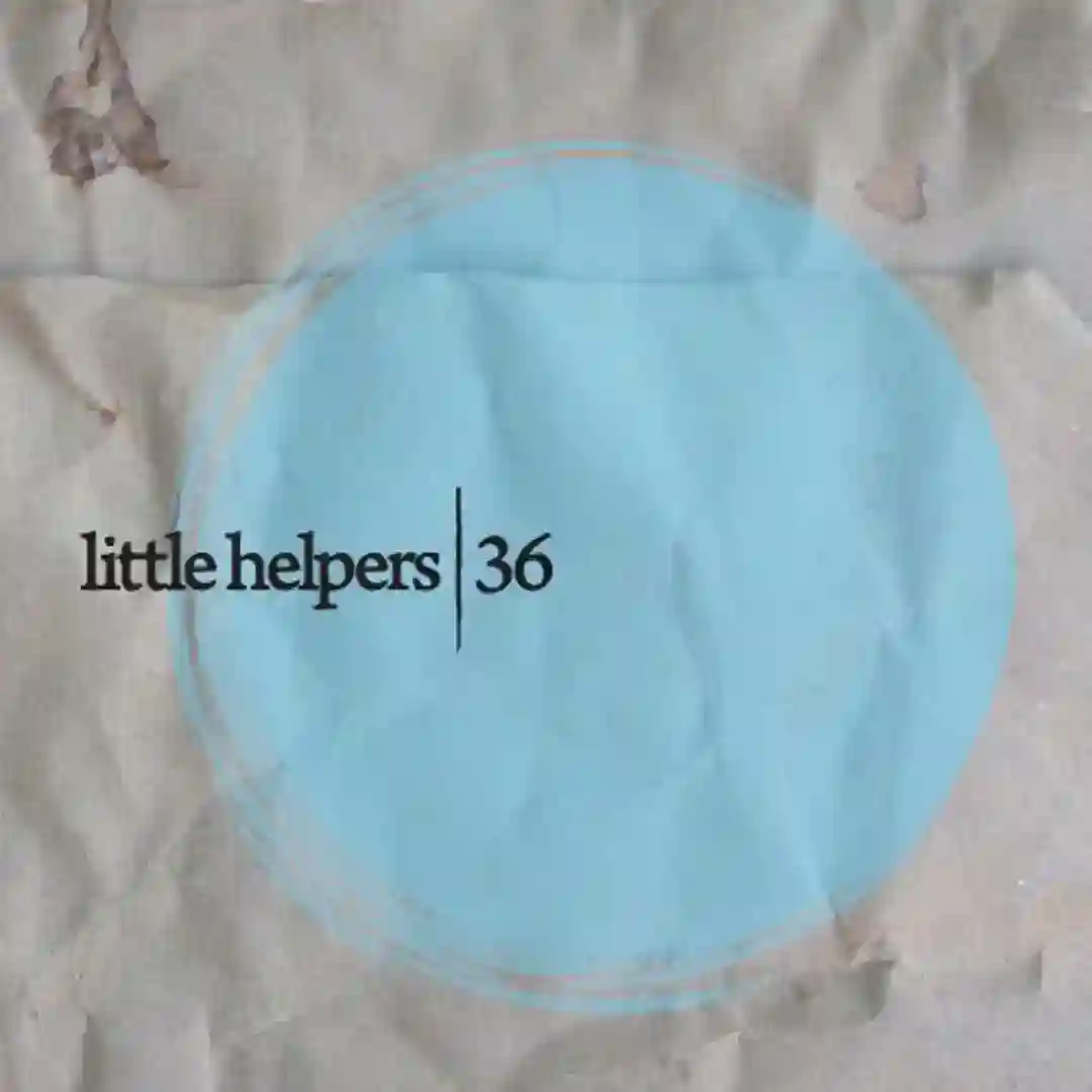 Little Helpers 36-2 cover