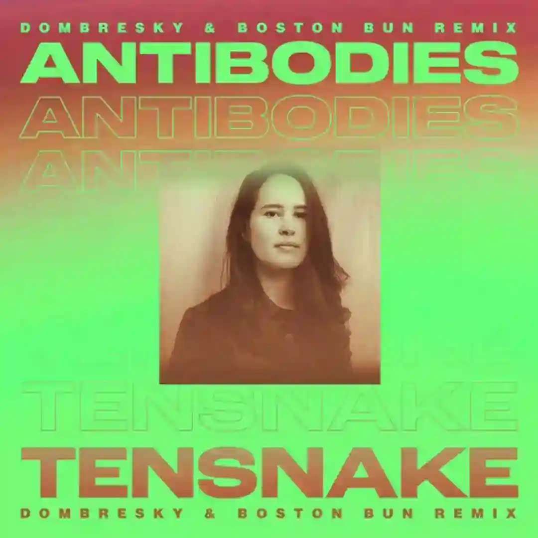 Antibodies feat. Cara Melin (Dombresky & Boston Bun Extended Remix) cover