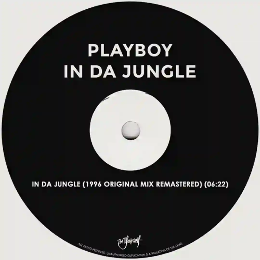 In Da Jungle (Delta Remix) cover