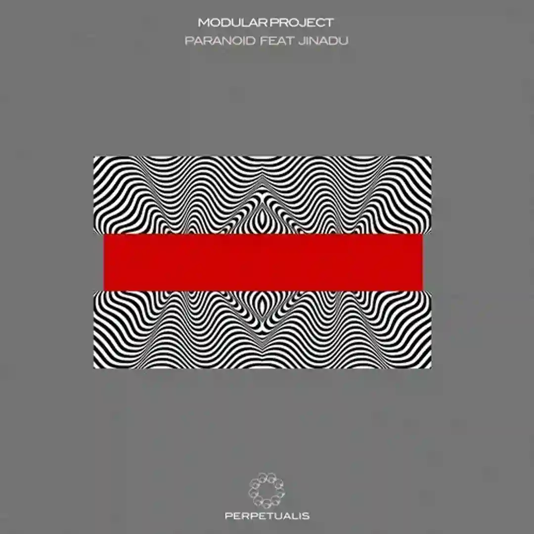 Paranoid (Original Mix) cover