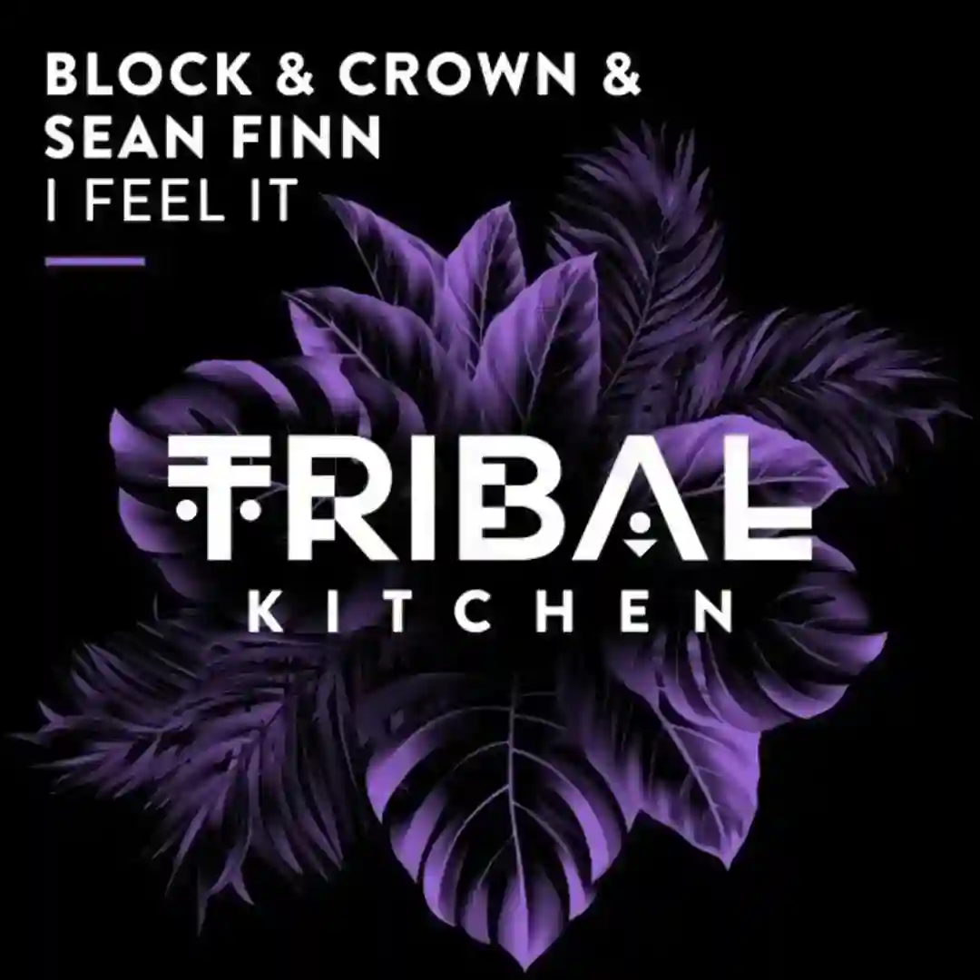 I Feel It cover
