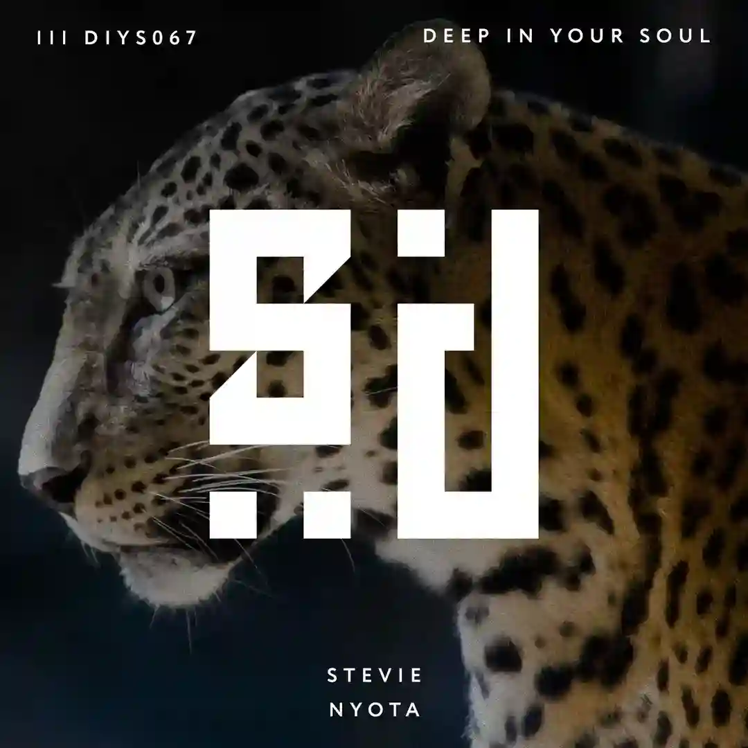 Nyota (Original Mix) cover