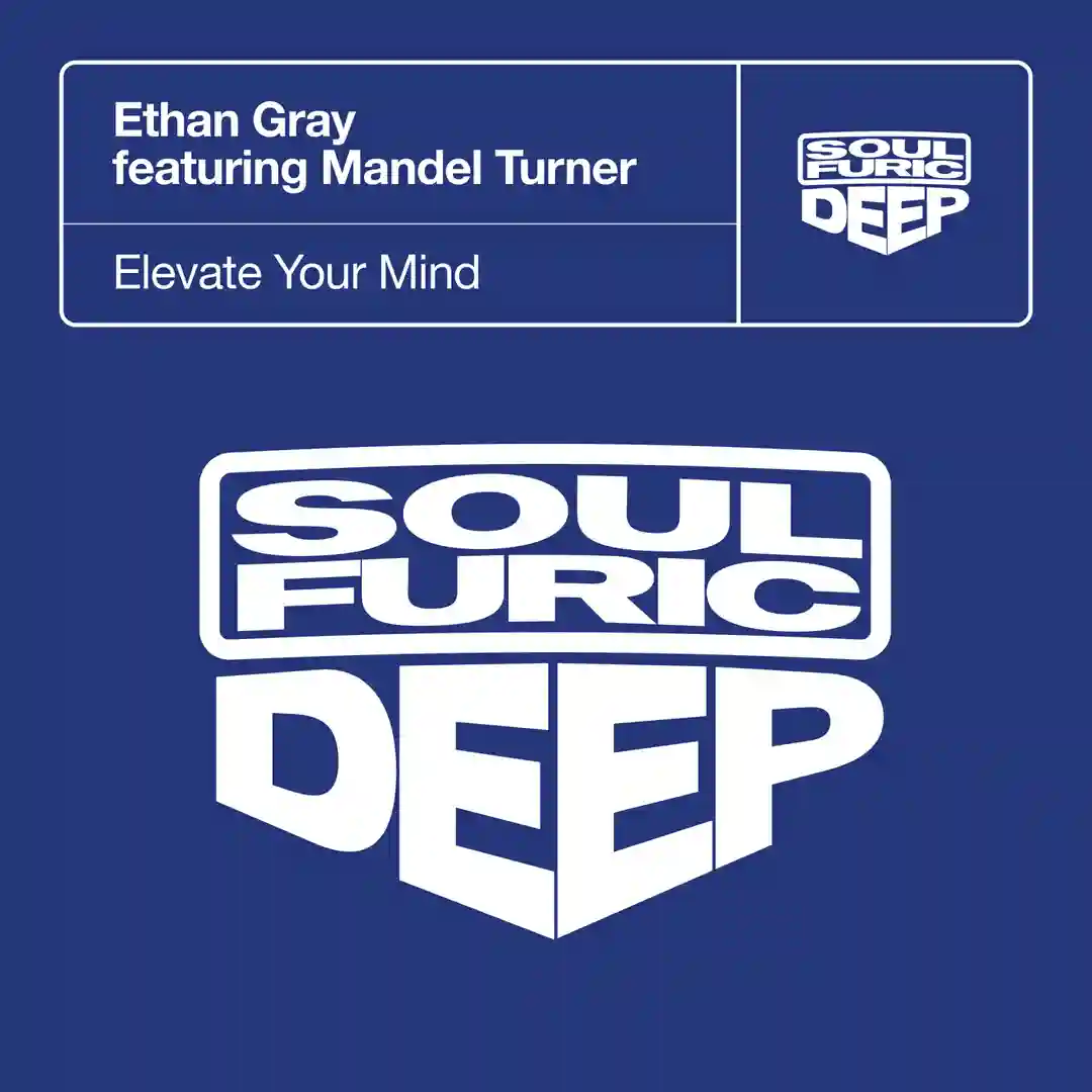 Elevate Your Mind feat. Mandel Turner (Extended Mix) cover