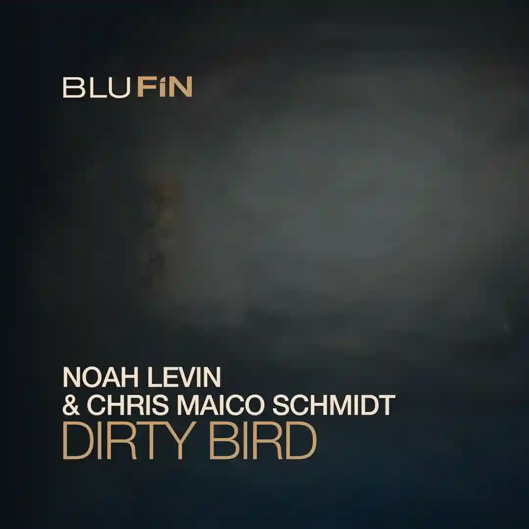 Dirty Bird (Extended Mix) cover