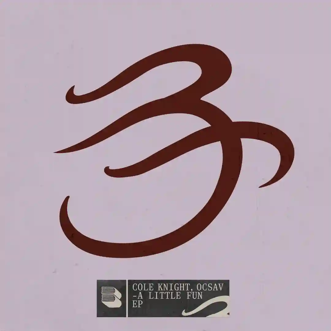 A Little Fun (Extended Mix) cover