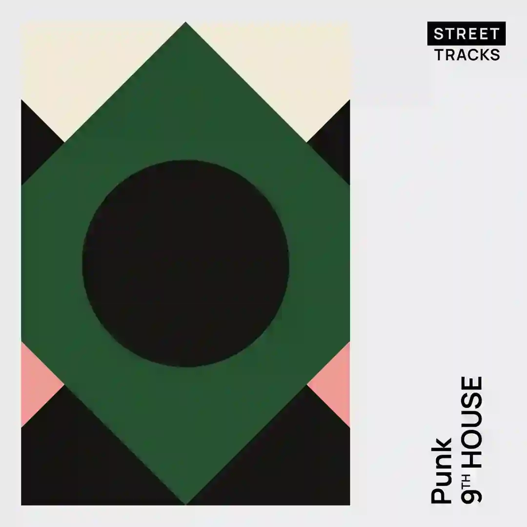 Punk (Original Mix) cover