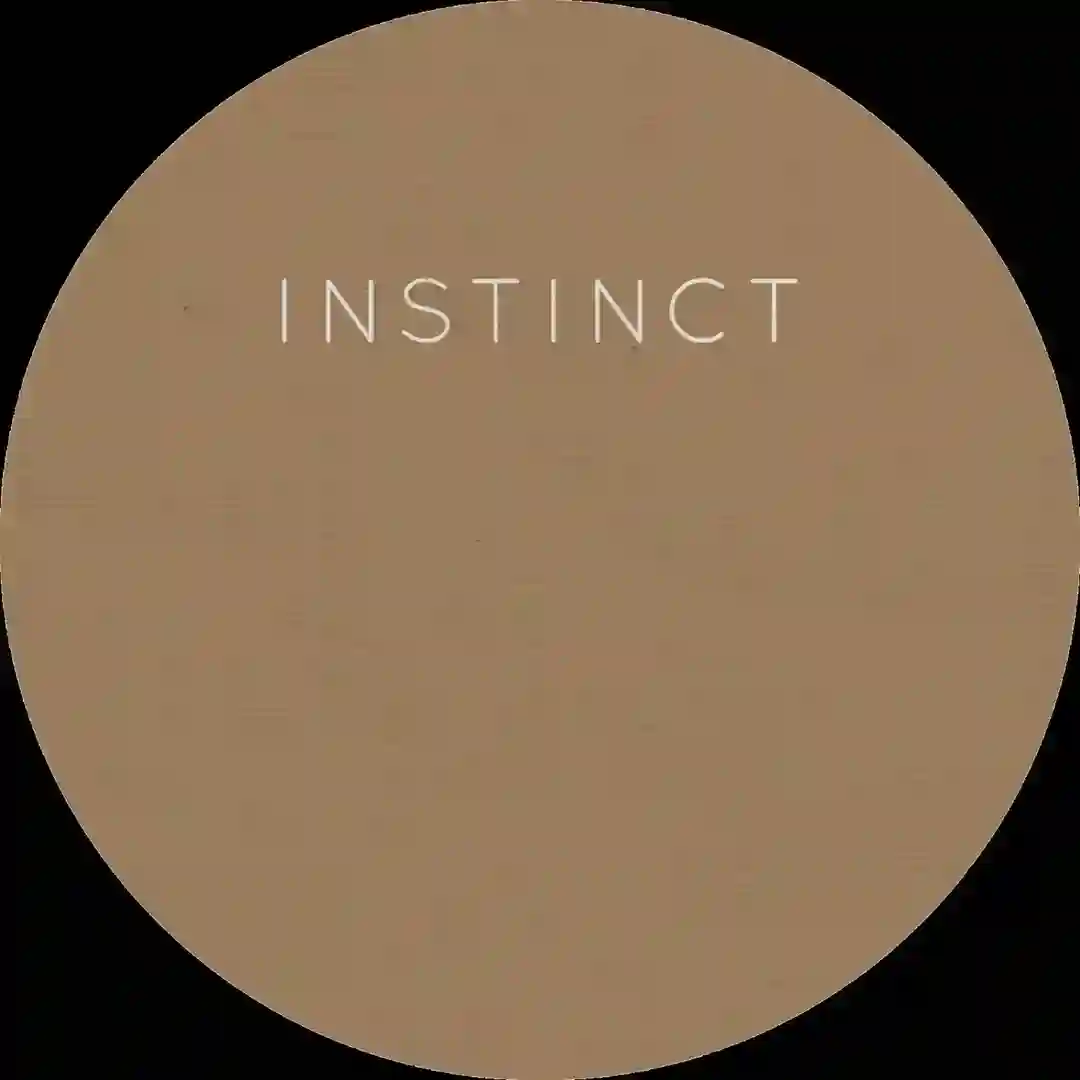 In 2 The Jungle cover