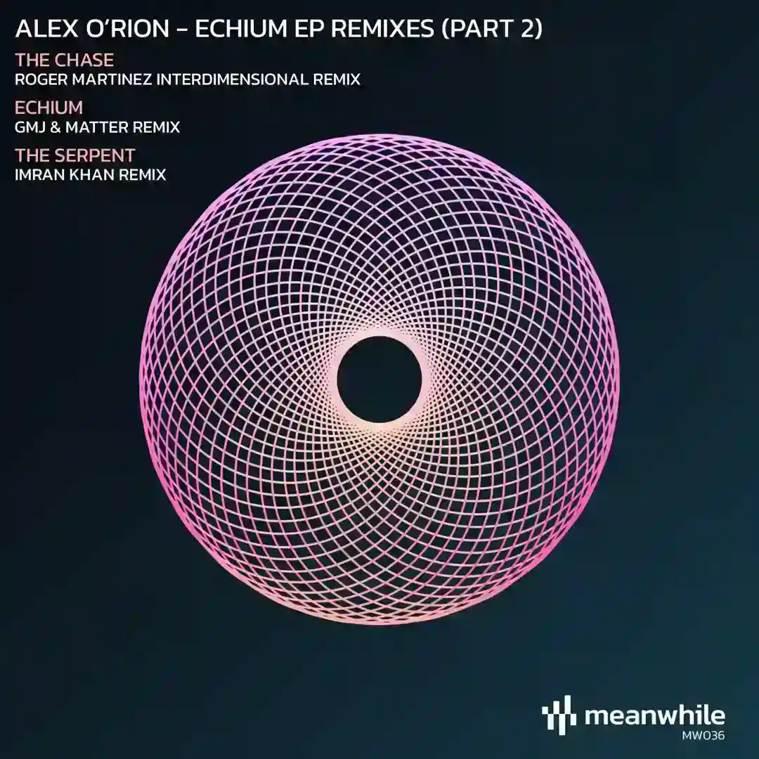 Echium Remixed, Vol. 2 cover