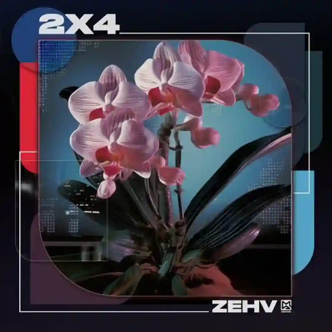 2x4 cover