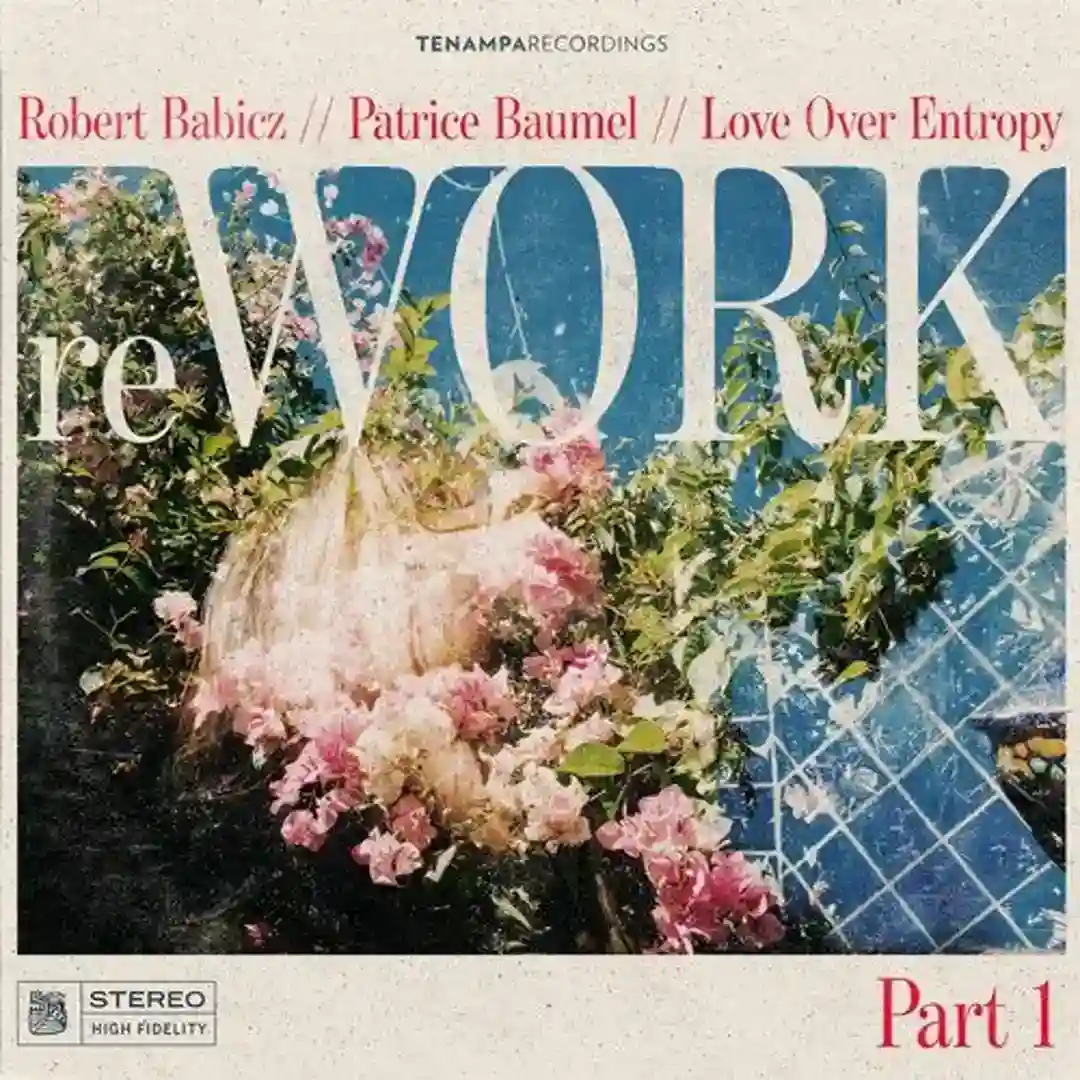 Vendor (Robert Babicz Remix) cover