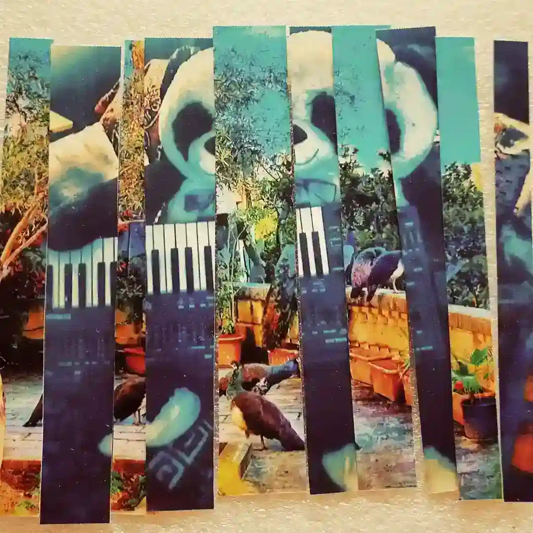 Kelch 4 cover