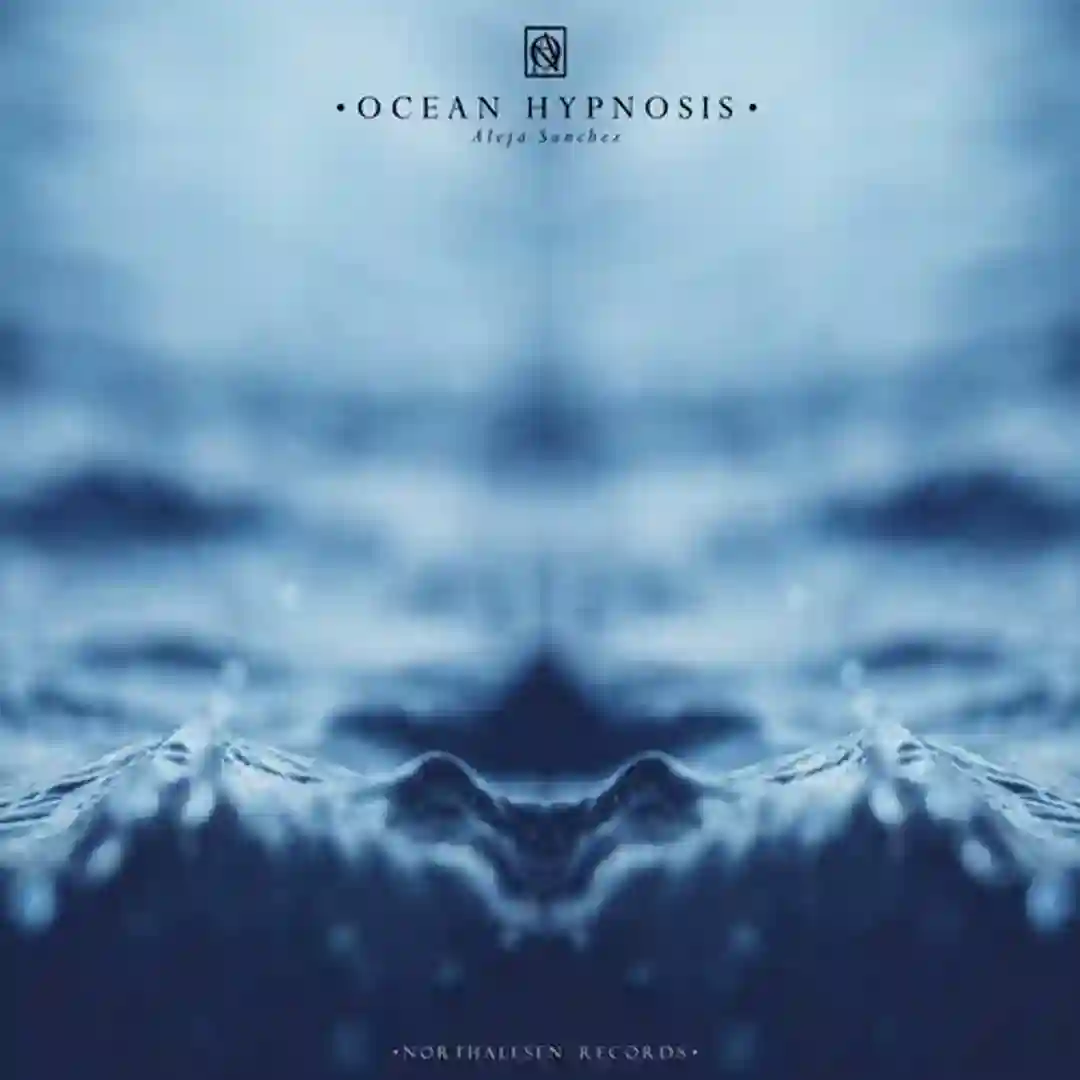 The Ocean of Fears (Original Mix) cover