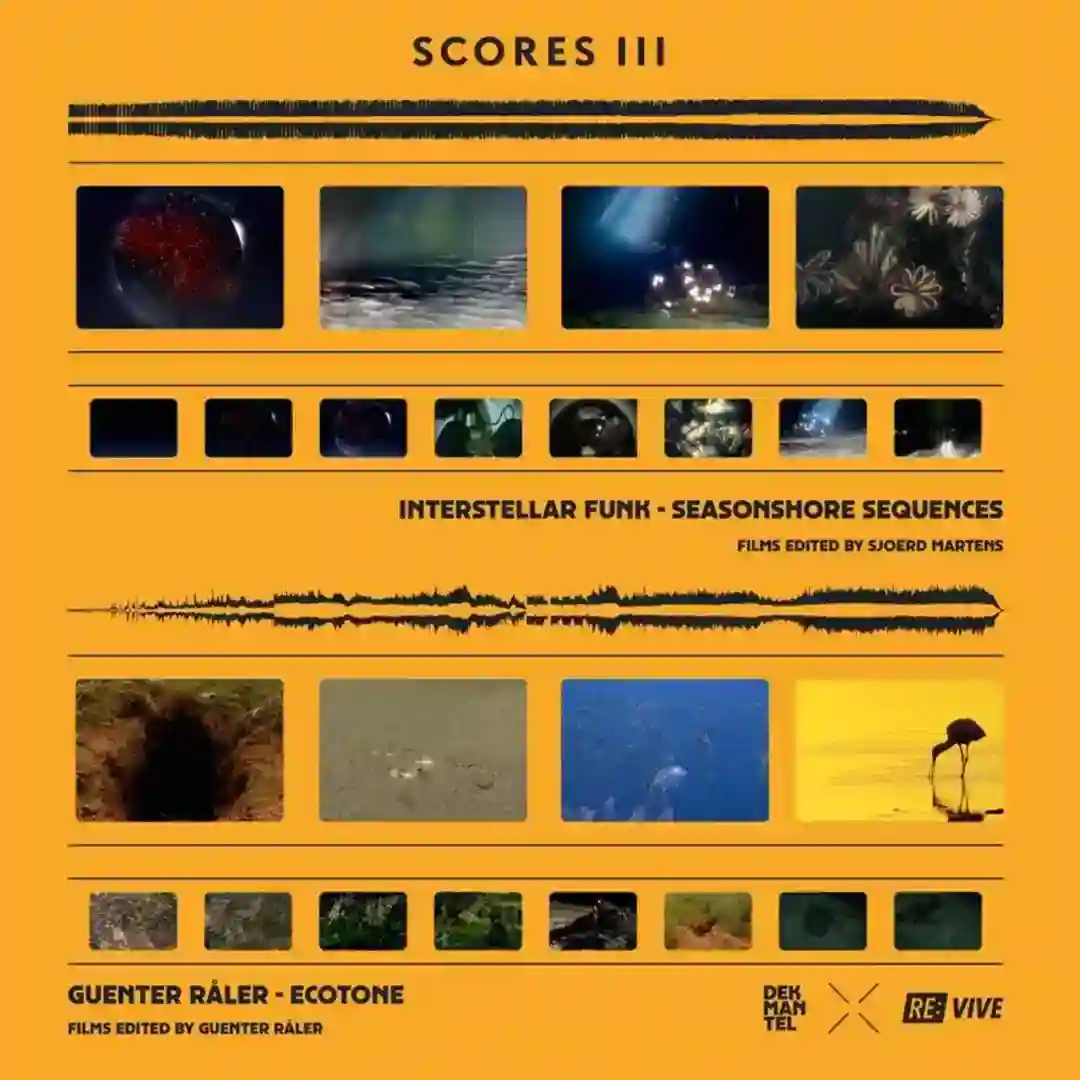 Ecotone cover