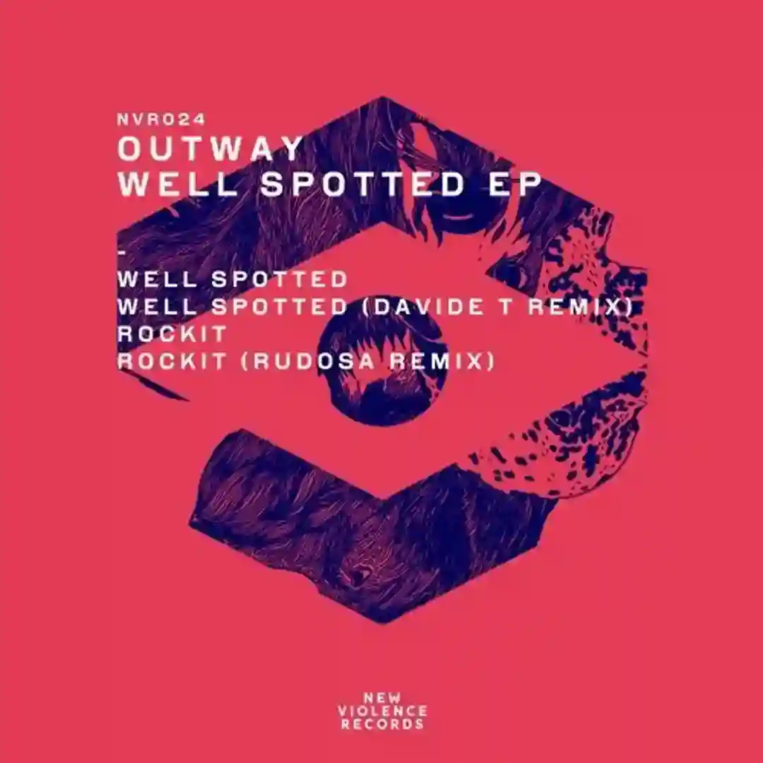 Well Spotted (Davide T Remix) cover