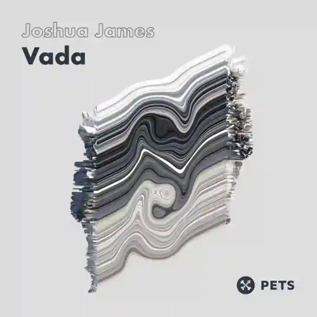 Vada EP cover