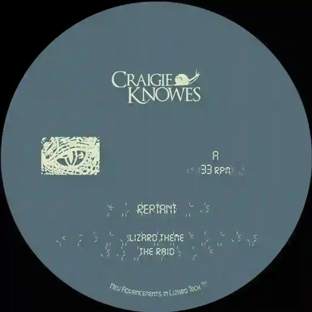 The Raid (Original Mix) cover