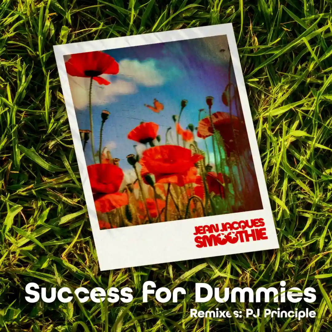 Success for Dummies (PJ Principle Disco Mix) cover