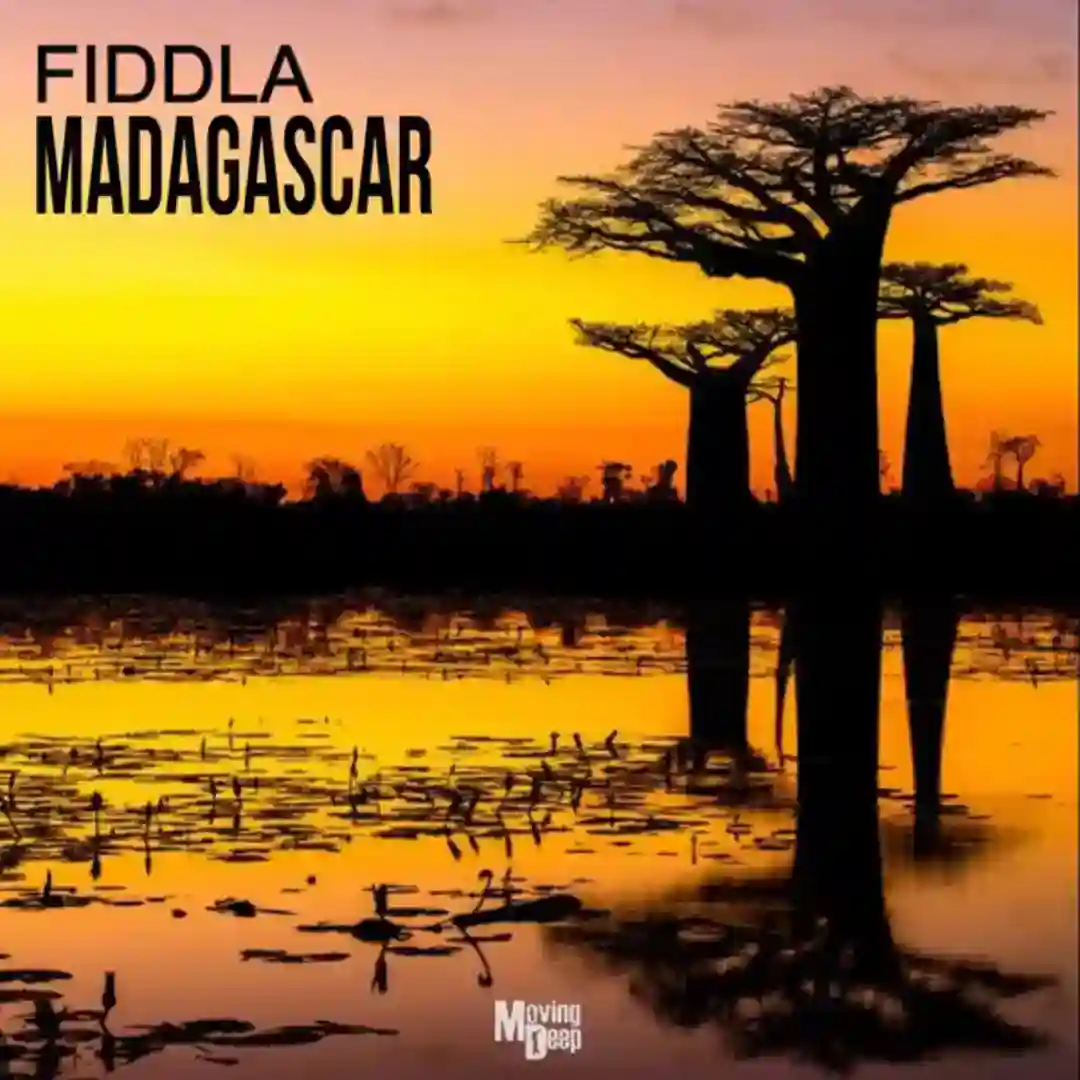 Madagascar (Original Mix) cover