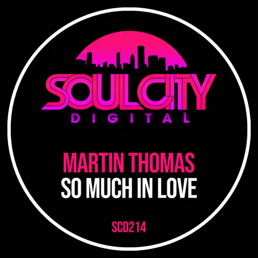 So Much In Love (Radio Mix) cover