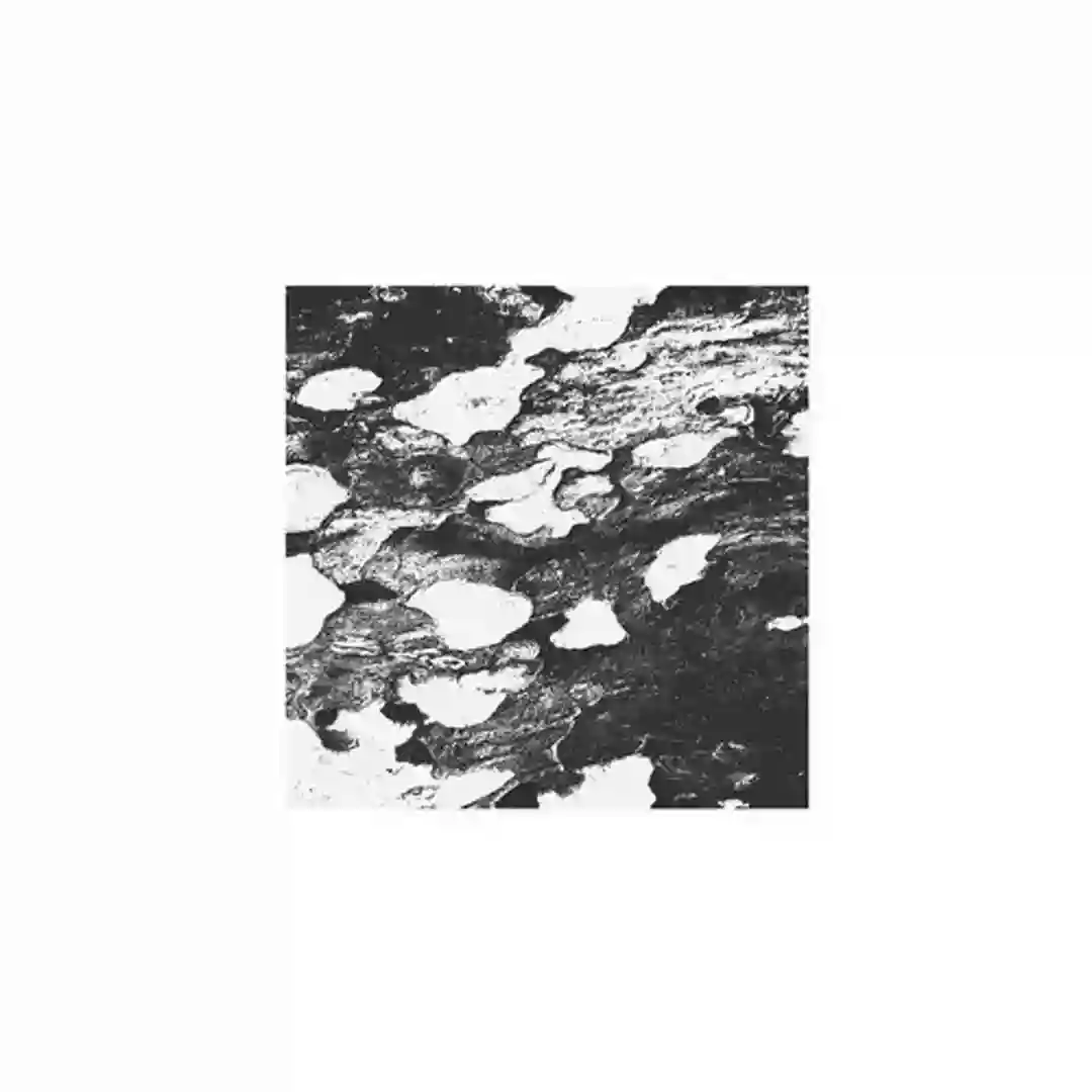 Digital Natives (Original Mix) cover