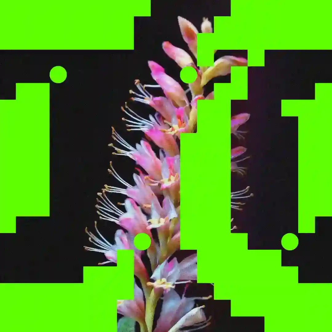 Better O'be New (Roy Rosenfeld Extended Remix) cover