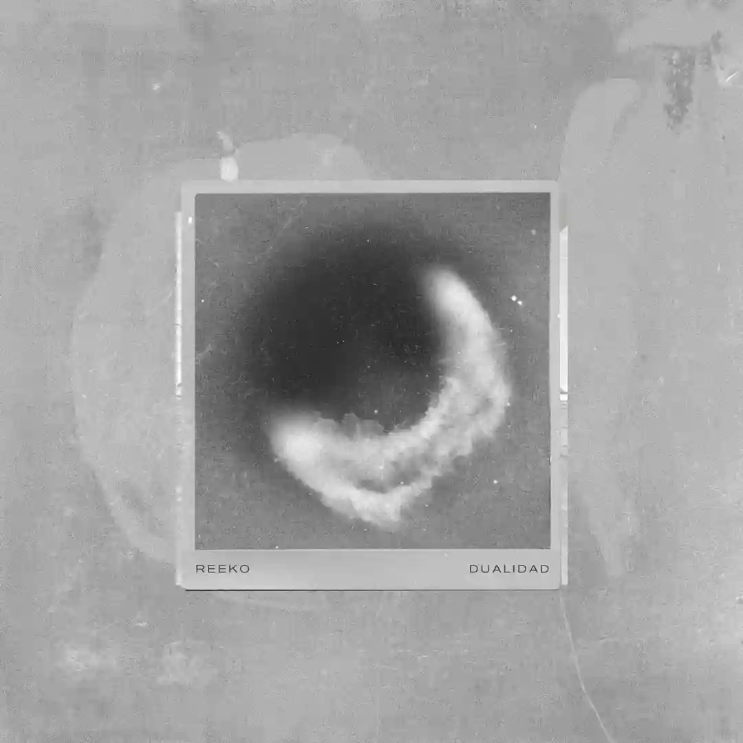 Dualidad 11 (Original Mix) cover