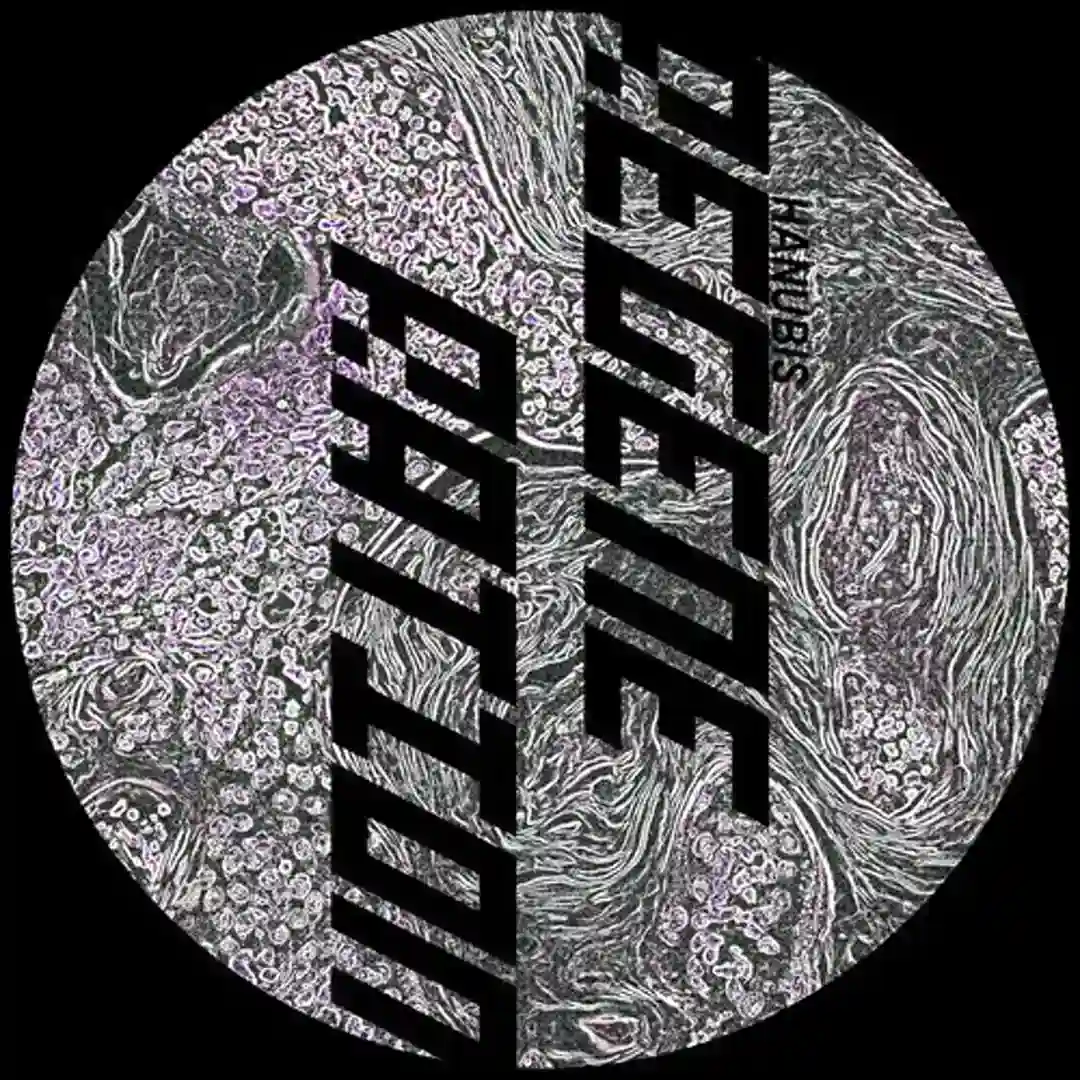 Last Techno Mission (Original Mix) cover