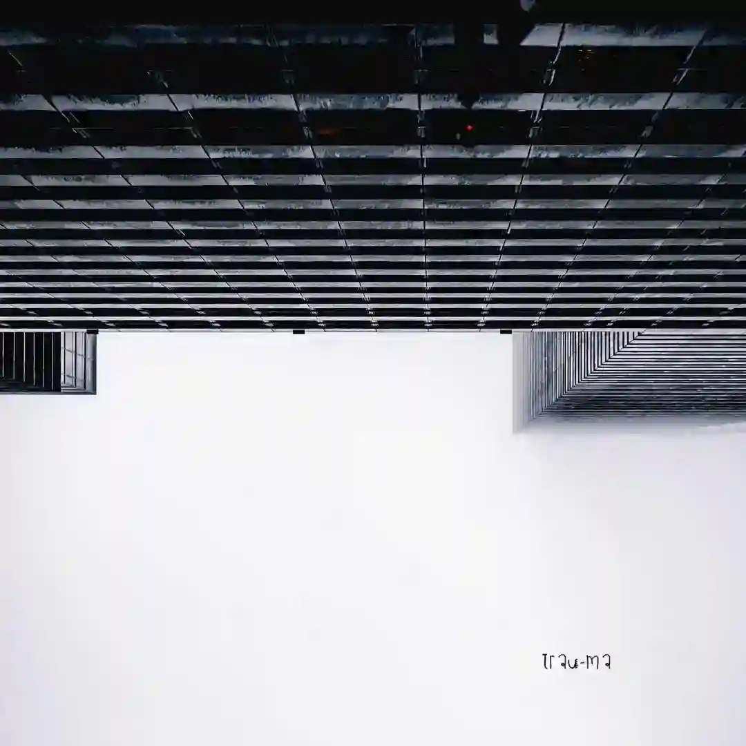 Paranoid cover