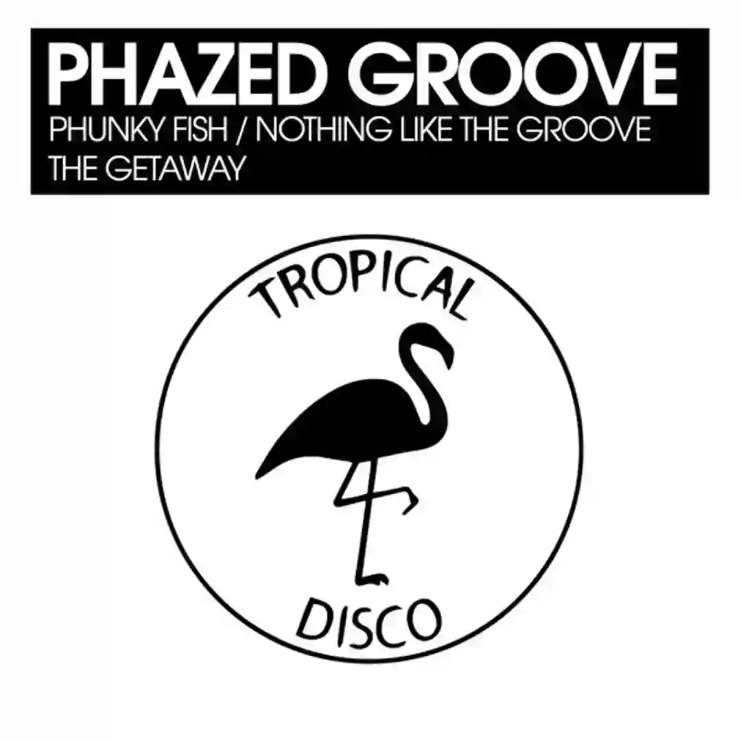 Nothing Like The Groove (Original Mix) cover