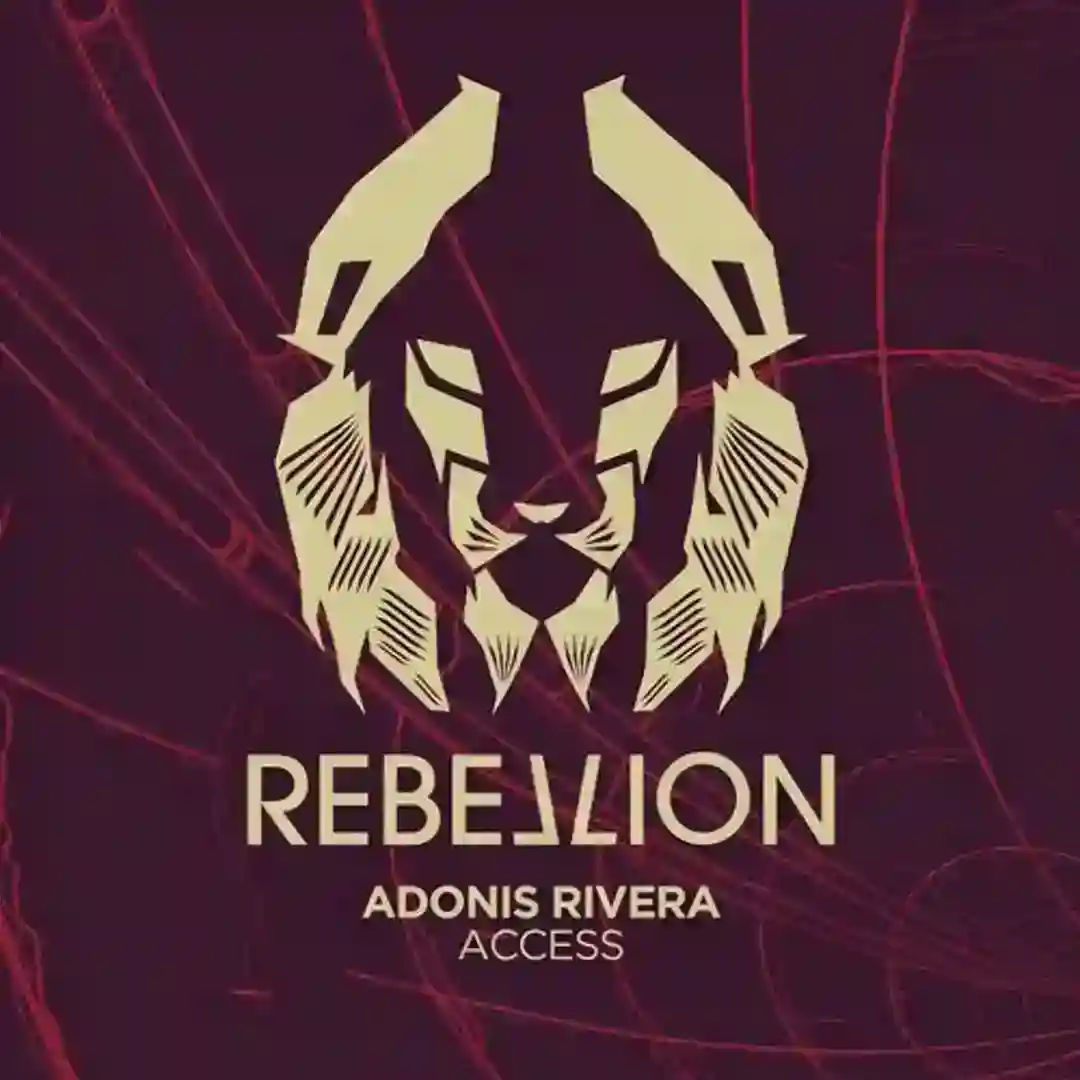 Access (Original Mix) cover