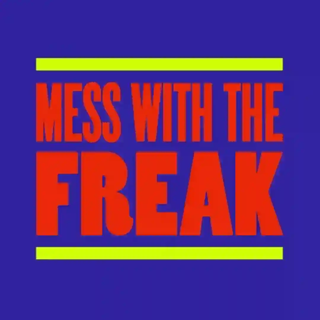 Mess with the Freak (Extended Mix) cover