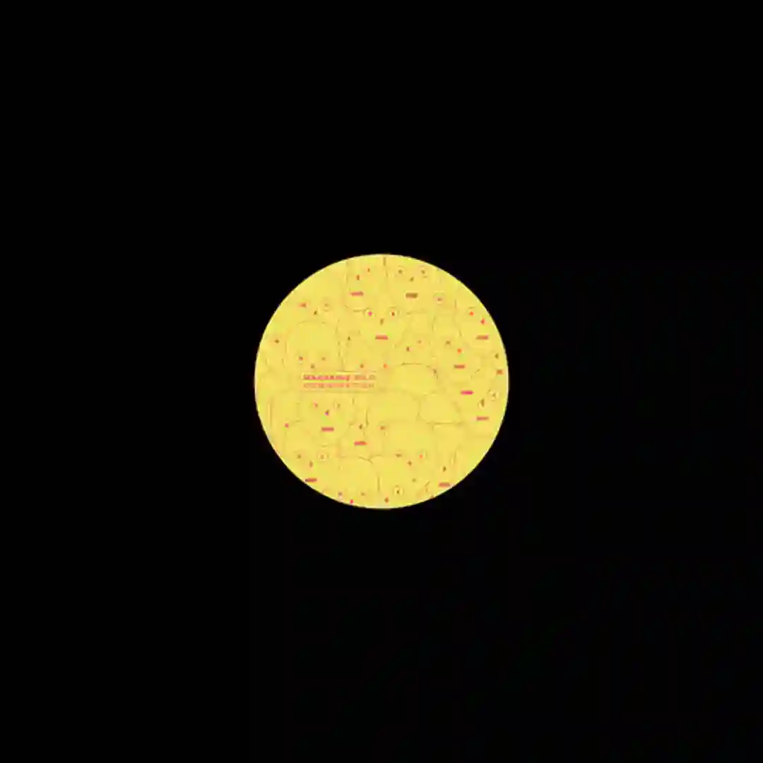 Tangerine Submarine cover