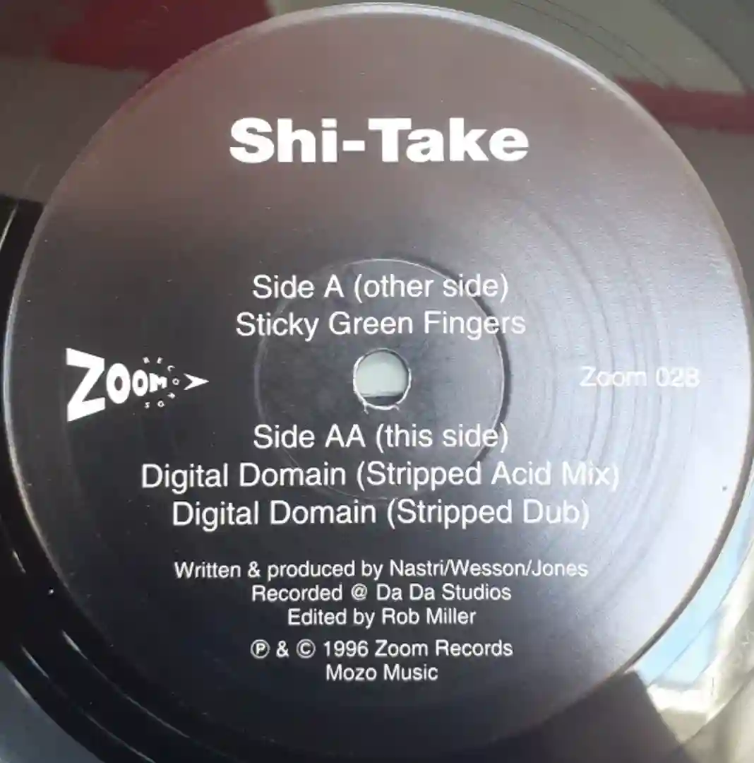 Digital Domain (Stripped Dub) cover
