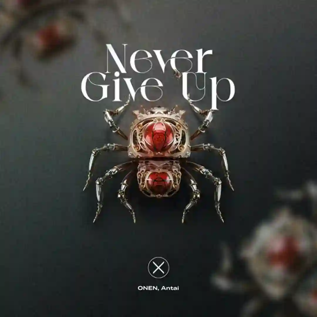 Never Give Up cover