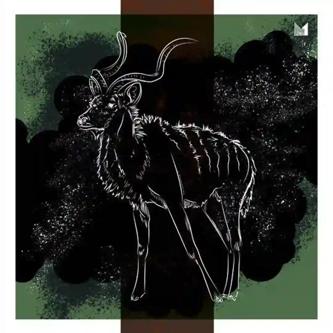 The Tribe cover