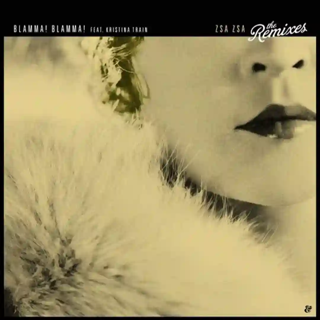 Zsa Zsa (Eelke Kleijn's After The After Remix) cover