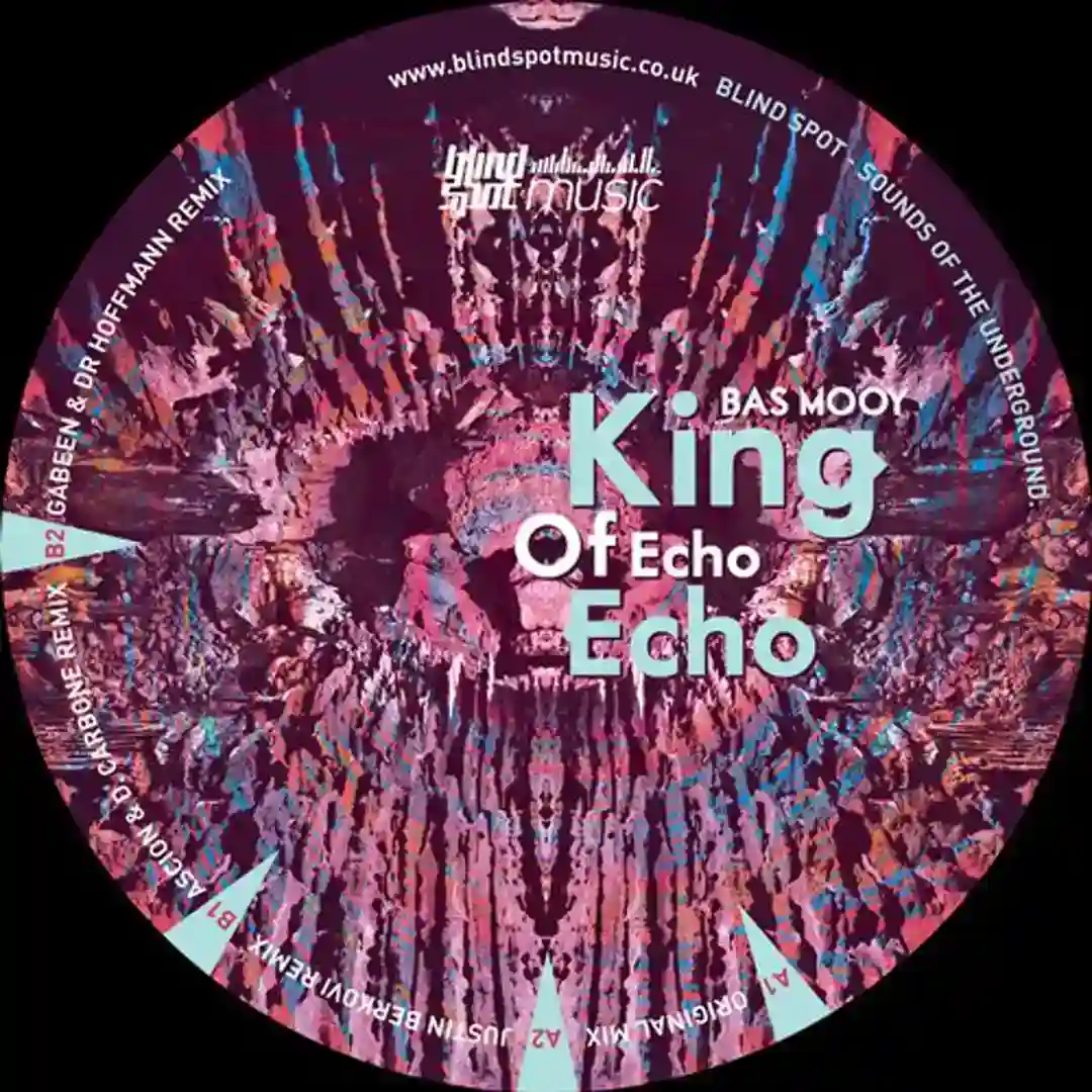 King Of Echo Echo (Justin Berkovi Remix) cover