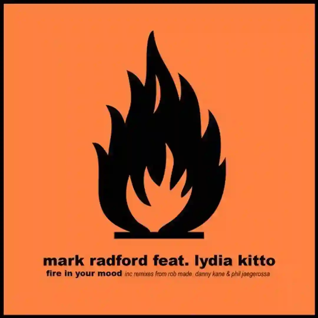 Fire in Your Mood feat. Lydia Kitto (Rob Made Remix) cover