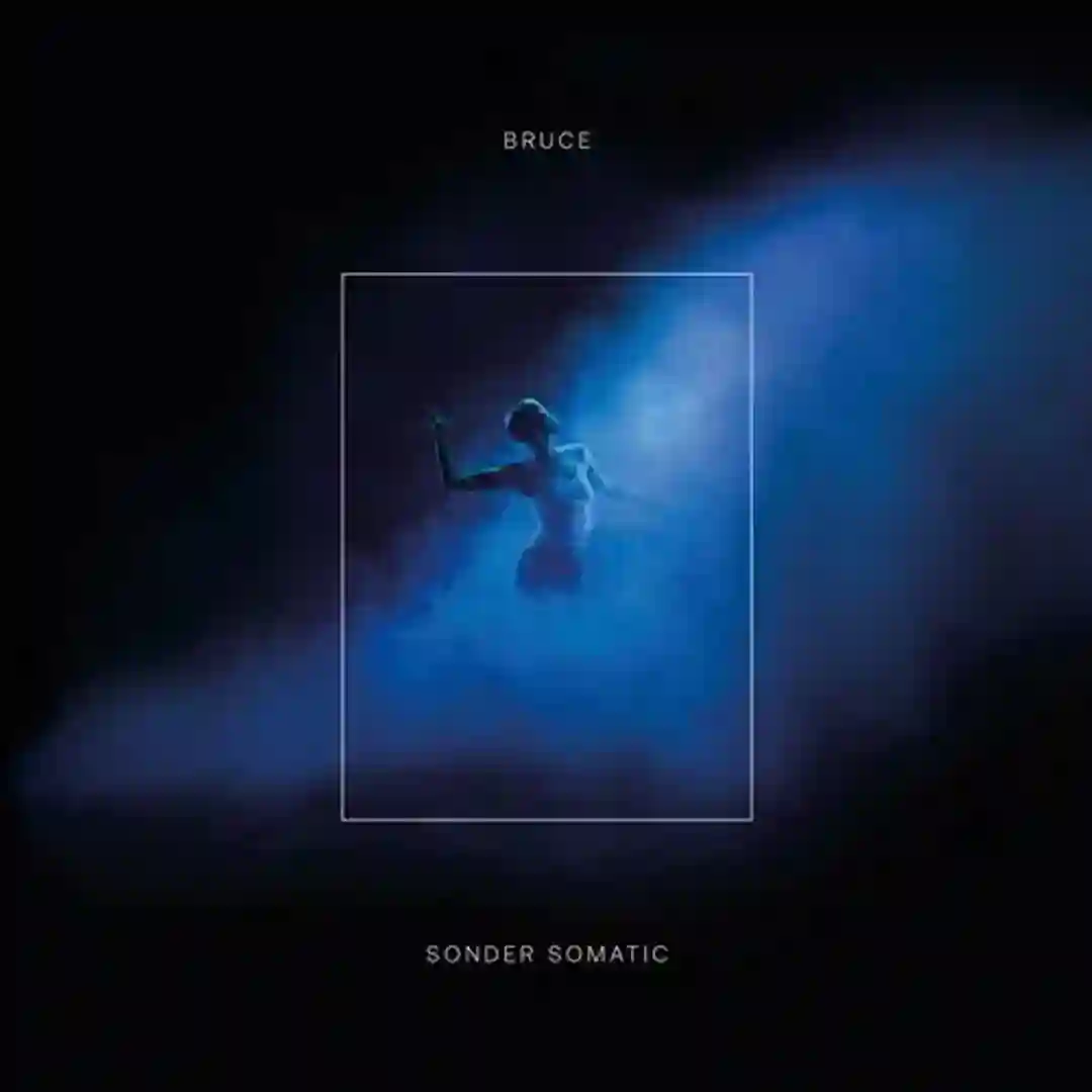 Sonder Somatic cover