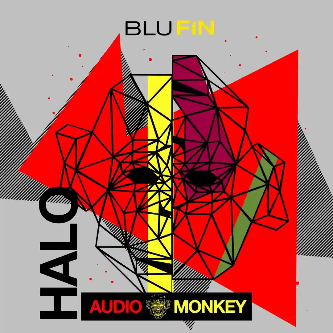 Halo (Original Mix) cover