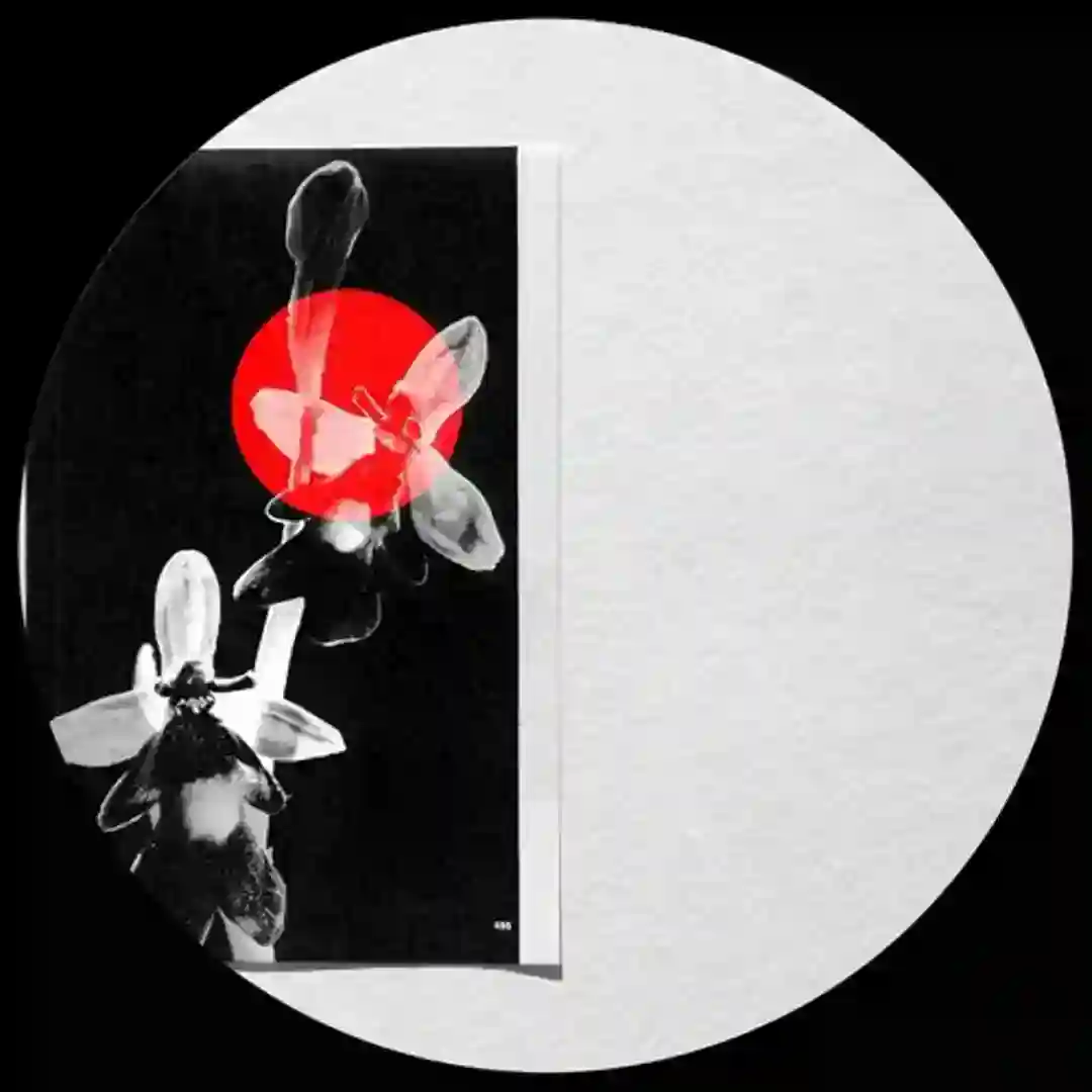 Kliph cover