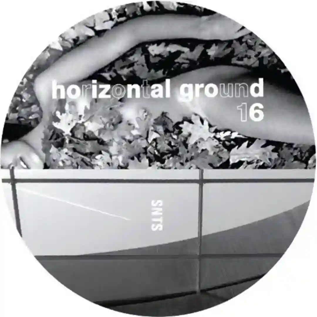 Horizontal Ground 16 cover