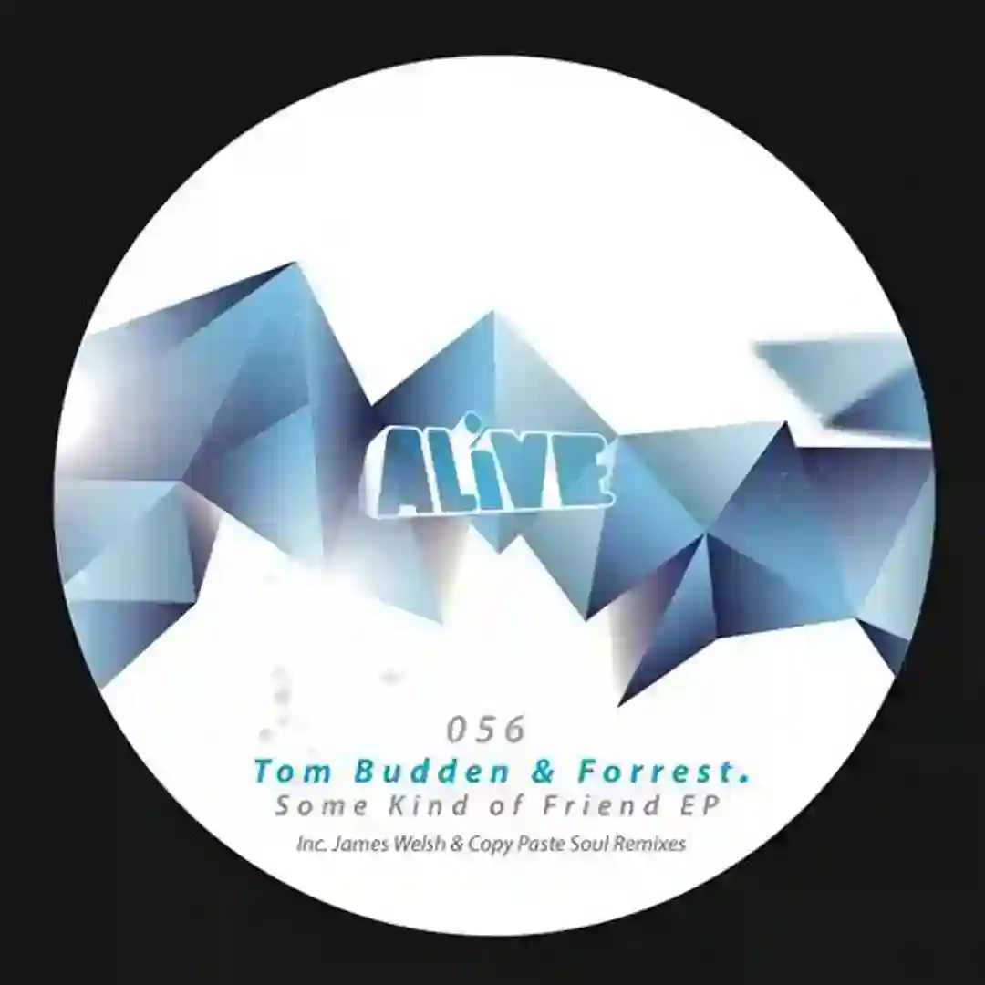 Some Kind Of Friend EP cover