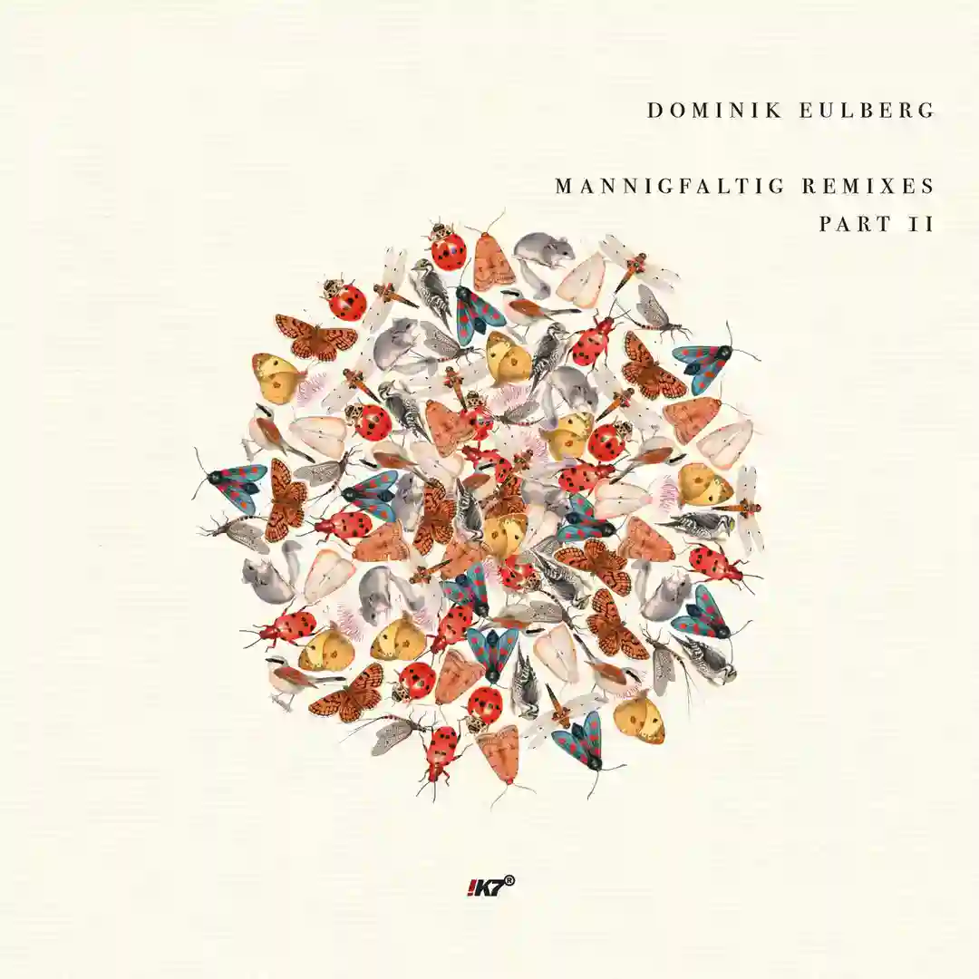Mannigfaltig Remixes (Pt. 2) cover